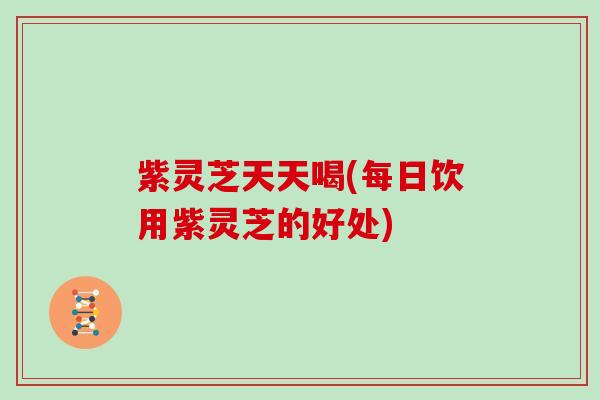 紫灵芝天天喝(每日饮用紫灵芝的好处)