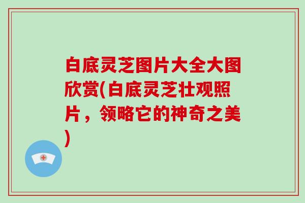 白底灵芝图片大全大图欣赏(白底灵芝壮观照片，领略它的神奇之美)