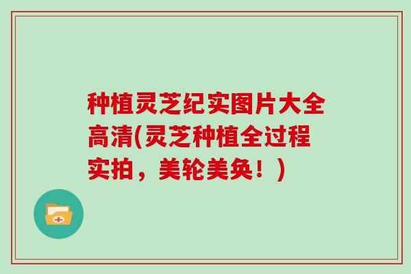 种植灵芝纪实图片大全高清(灵芝种植全过程实拍,美轮美奂!)