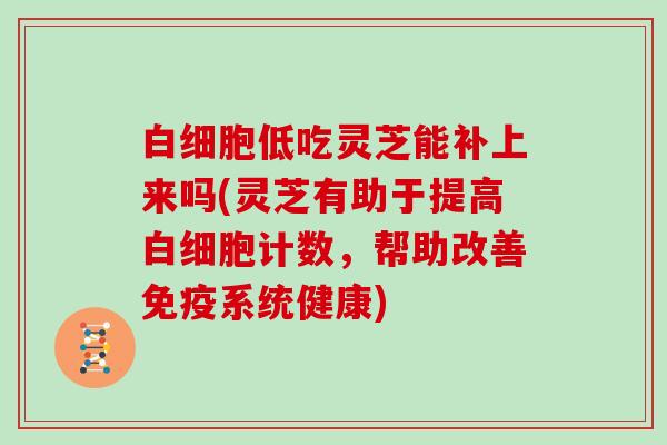 白细胞低吃灵芝能补上来吗(灵芝有助于提高白细胞计数,帮助改善免疫系统健康)