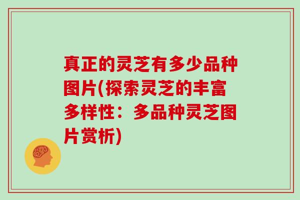 真正的灵芝有多少品种图片(探索灵芝的丰富多样性:多品种灵芝图片赏析)