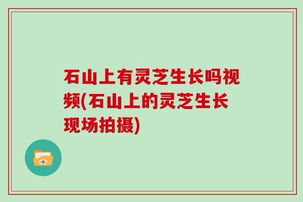 石山上有灵芝生长吗视频(石山上的灵芝生长现场拍摄)