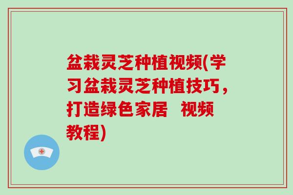 盆栽灵芝种植视频(学习盆栽灵芝种植技巧,打造绿色家居 视频教程)