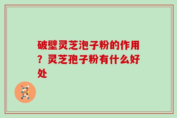破壁灵芝泡子粉的作用？灵芝孢子粉有什么好处