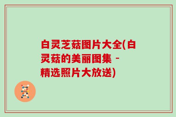 白灵芝菇图片大全(白灵菇的美丽图集 - 精选照片大放送)