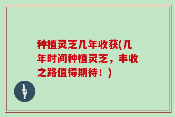 种植灵芝几年收获(几年时间种植灵芝,丰收之路值得期待!)