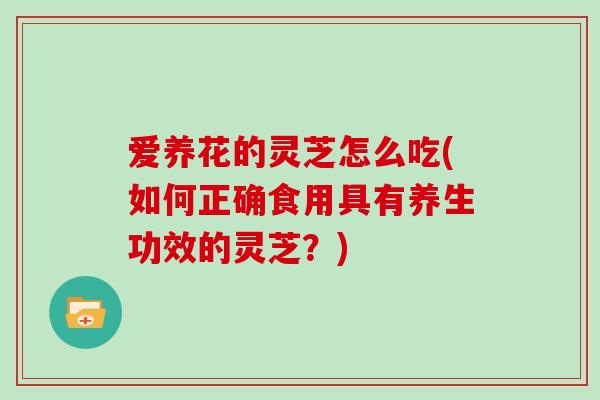 爱养花的灵芝怎么吃(如何正确食用具有养生功效的灵芝?)