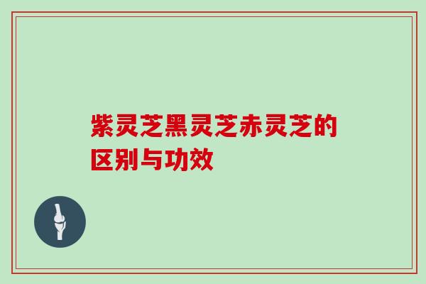 紫灵芝黑灵芝赤灵芝的区别与功效