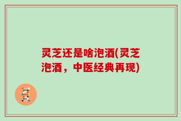 灵芝还是啥泡酒(灵芝泡酒,中医经典再现)
