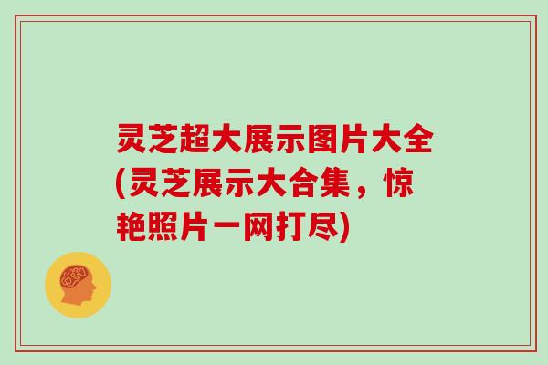 灵芝超大展示图片大全(灵芝展示大合集,惊艳照片一网打尽)