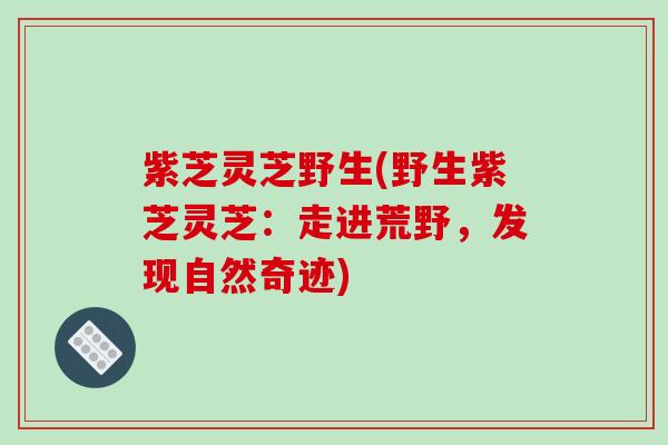 紫芝灵芝野生(野生紫芝灵芝:走进荒野,发现自然奇迹)