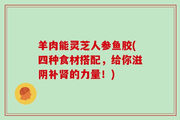 羊肉能灵芝人参鱼胶(四种食材搭配,给你滋阴补肾的力量!)