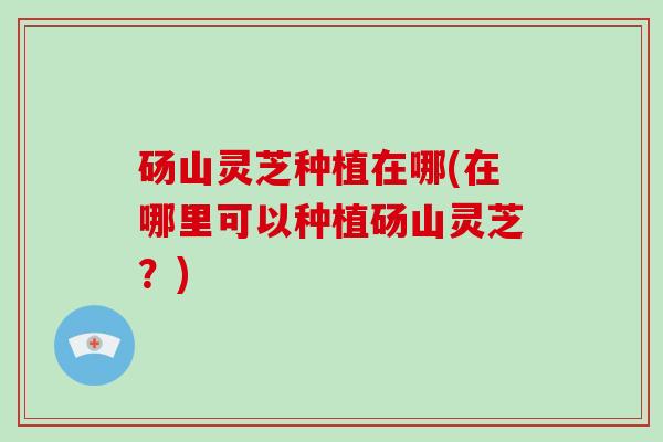 砀山灵芝种植在哪(在哪里可以种植砀山灵芝?)
