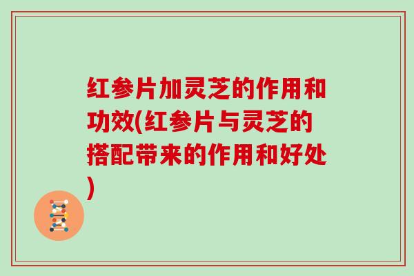 红参片加灵芝的作用和功效(红参片与灵芝的搭配带来的作用和好处)