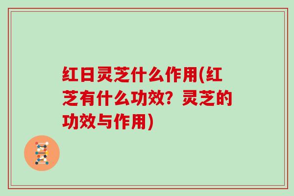 红日灵芝什么作用(红芝有什么功效?灵芝的功效与作用)