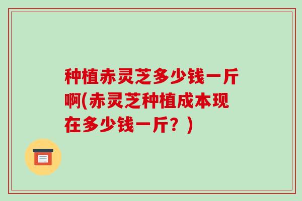 种植赤灵芝多少钱一斤啊(赤灵芝种植成本现在多少钱一斤?)