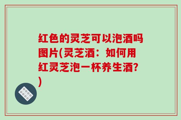 红色的灵芝可以泡酒吗图片(灵芝酒：如何用红灵芝泡一杯养生酒？)