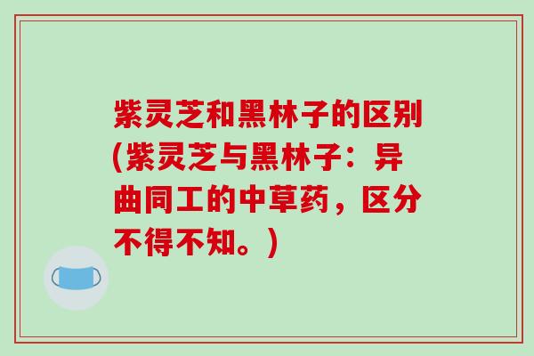 紫灵芝和黑林子的区别(紫灵芝与黑林子：异曲同工的中草药，区分不得不知。)