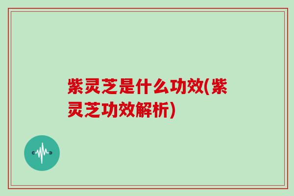 紫灵芝是什么功效(紫灵芝功效解析)