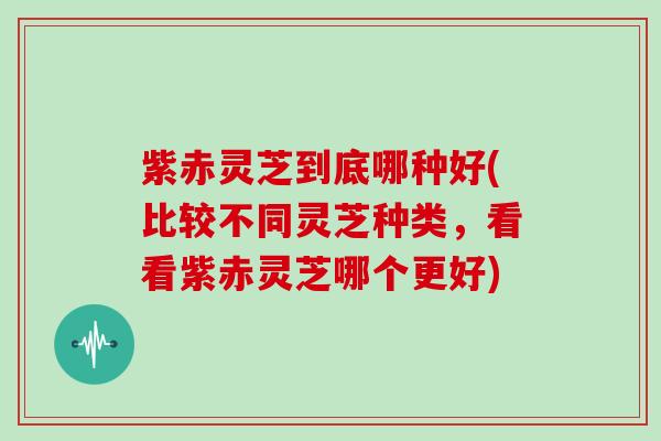 紫赤灵芝到底哪种好(比较不同灵芝种类,看看紫赤灵芝哪个更好)