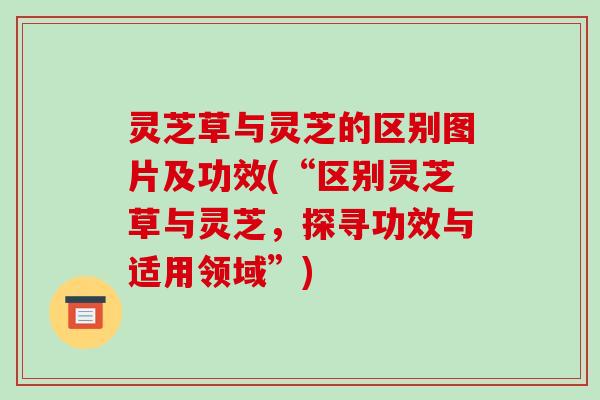 灵芝草与灵芝的区别图片及功效(“区别灵芝草与灵芝，探寻功效与适用领域”)