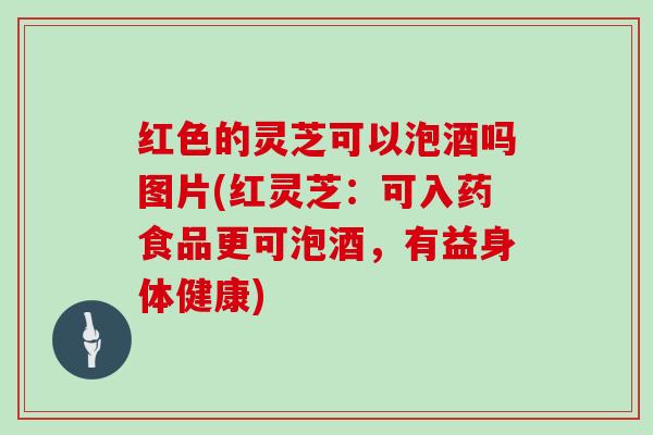 红色的灵芝可以泡酒吗图片(红灵芝:可入药食品更可泡酒,有益身体健康)