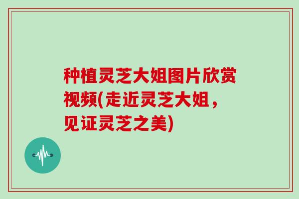 种植灵芝大姐图片欣赏视频(走近灵芝大姐，见证灵芝之美)