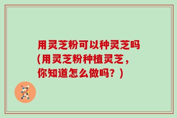 用灵芝粉可以种灵芝吗(用灵芝粉种植灵芝，你知道怎么做吗？)