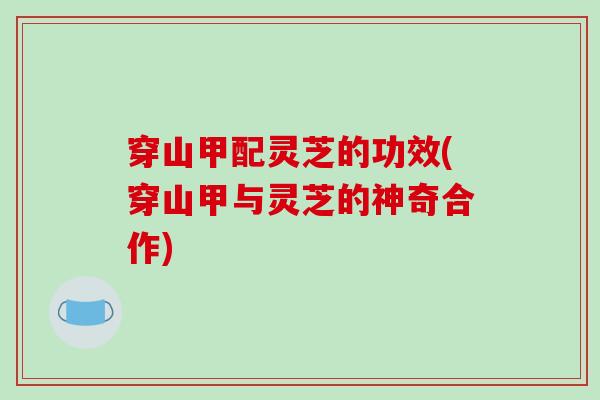 穿山甲配灵芝的功效(穿山甲与灵芝的神奇合作)