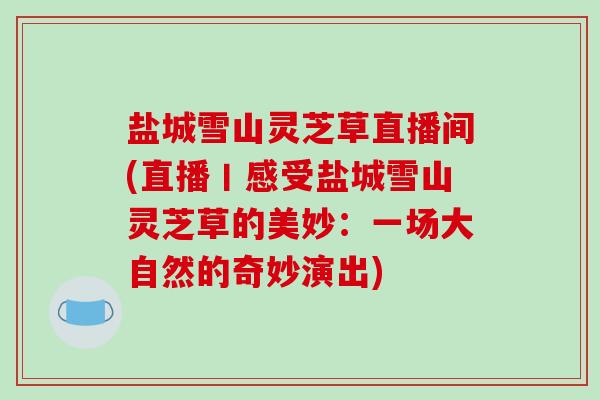 盐城雪山灵芝草直播间(直播丨感受盐城雪山灵芝草的美妙:一场大自然的奇妙演出)