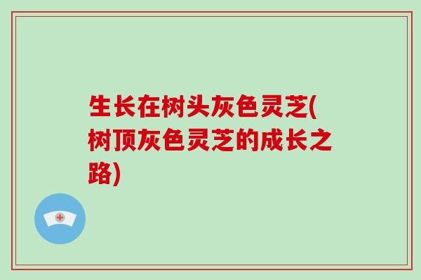 生长在树头灰色灵芝(树顶灰色灵芝的成长之路)