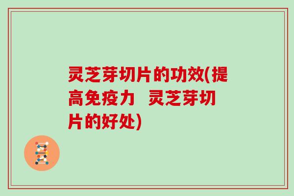 灵芝芽切片的功效(提高免疫力 灵芝芽切片的好处)