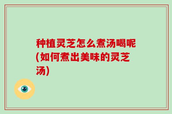 种植灵芝怎么煮汤喝呢(如何煮出美味的灵芝汤)