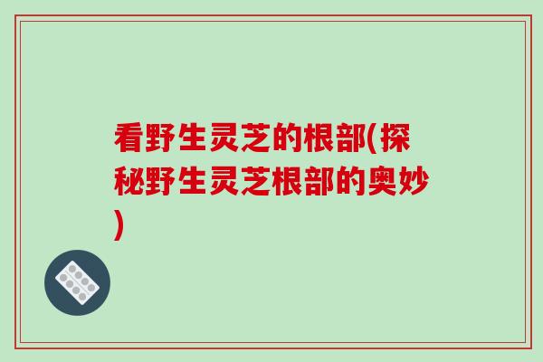 看野生灵芝的根部(探秘野生灵芝根部的奥妙)