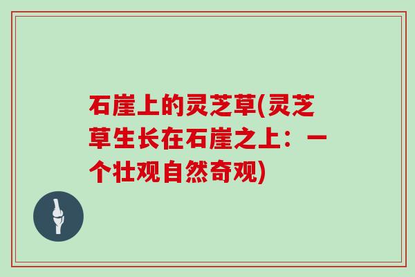 石崖上的灵芝草(灵芝草生长在石崖之上:一个壮观自然奇观)