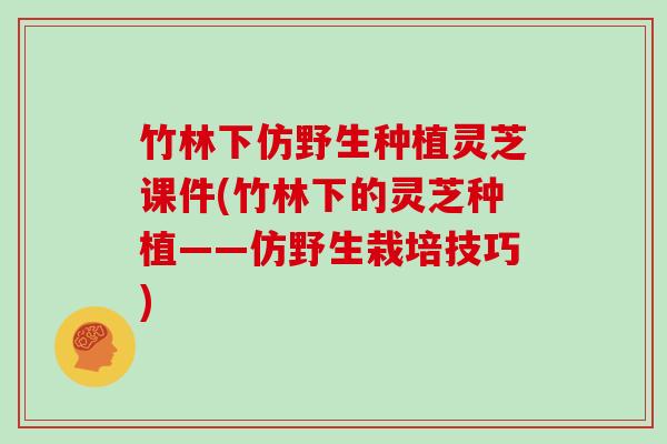 竹林下仿野生种植灵芝课件(竹林下的灵芝种植——仿野生栽培技巧)