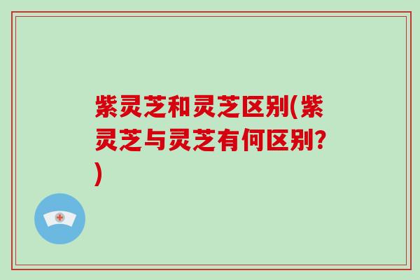 紫灵芝和灵芝区别(紫灵芝与灵芝有何区别?)