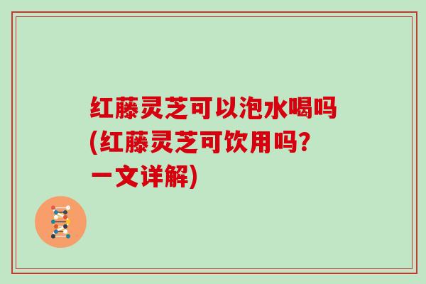 红藤灵芝可以泡水喝吗(红藤灵芝可饮用吗?一文详解)