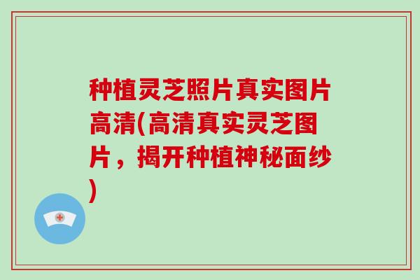 种植灵芝照片真实图片高清(高清真实灵芝图片,揭开种植神秘面纱)