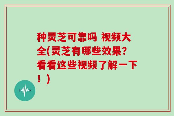 种灵芝可靠吗 视频大全(灵芝有哪些效果？看看这些视频了解一下！)
