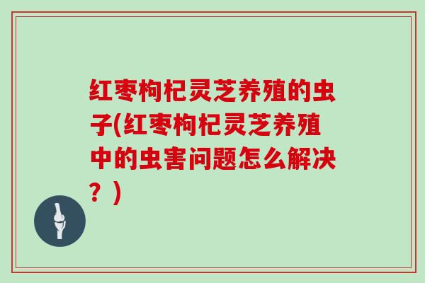 红枣枸杞灵芝养殖的虫子(红枣枸杞灵芝养殖中的虫害问题怎么解决?)
