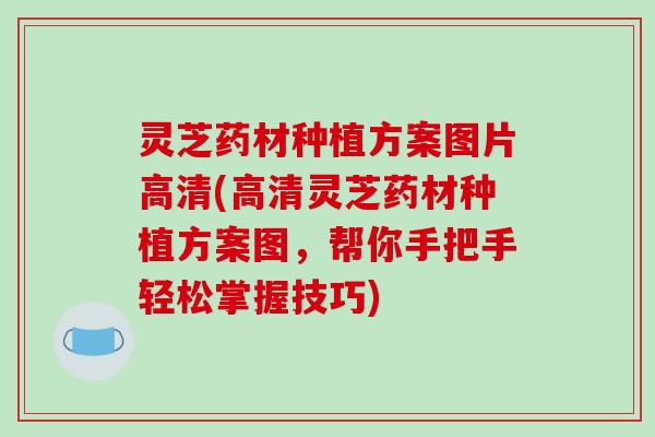 灵芝药材种植方案图片高清(高清灵芝药材种植方案图,帮你手把手轻松掌握技巧)