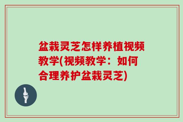 盆栽灵芝怎样养植视频教学(视频教学:如何合理养护盆栽灵芝)