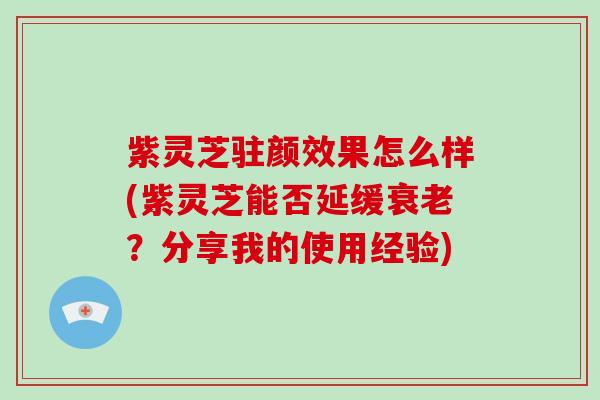 紫灵芝驻颜效果怎么样(紫灵芝能否延缓衰老?分享我的使用经验)