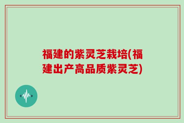 福建的紫灵芝栽培(福建出产高品质紫灵芝)