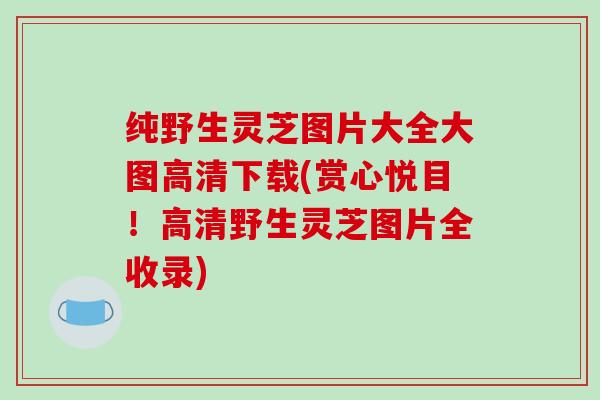纯野生灵芝图片大全大图高清下载(赏心悦目!高清野生灵芝图片全收录)