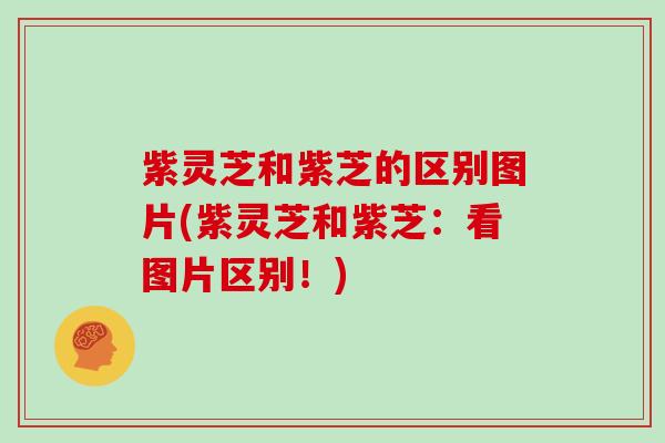 紫灵芝和紫芝的区别图片(紫灵芝和紫芝:看图片区别!)