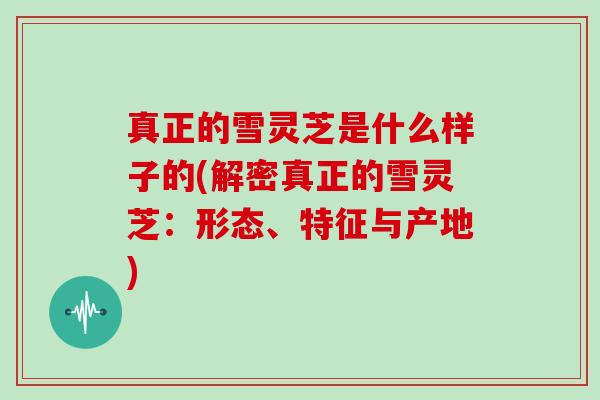 真正的雪灵芝是什么样子的(解密真正的雪灵芝:形态、特征与产地)