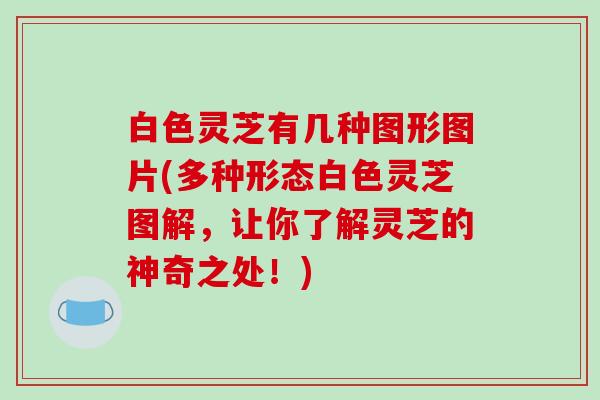 白色灵芝有几种图形图片(多种形态白色灵芝图解,让你了解灵芝的神奇之处!)