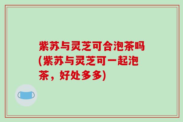 紫苏与灵芝可合泡茶吗(紫苏与灵芝可一起泡茶,好处多多)